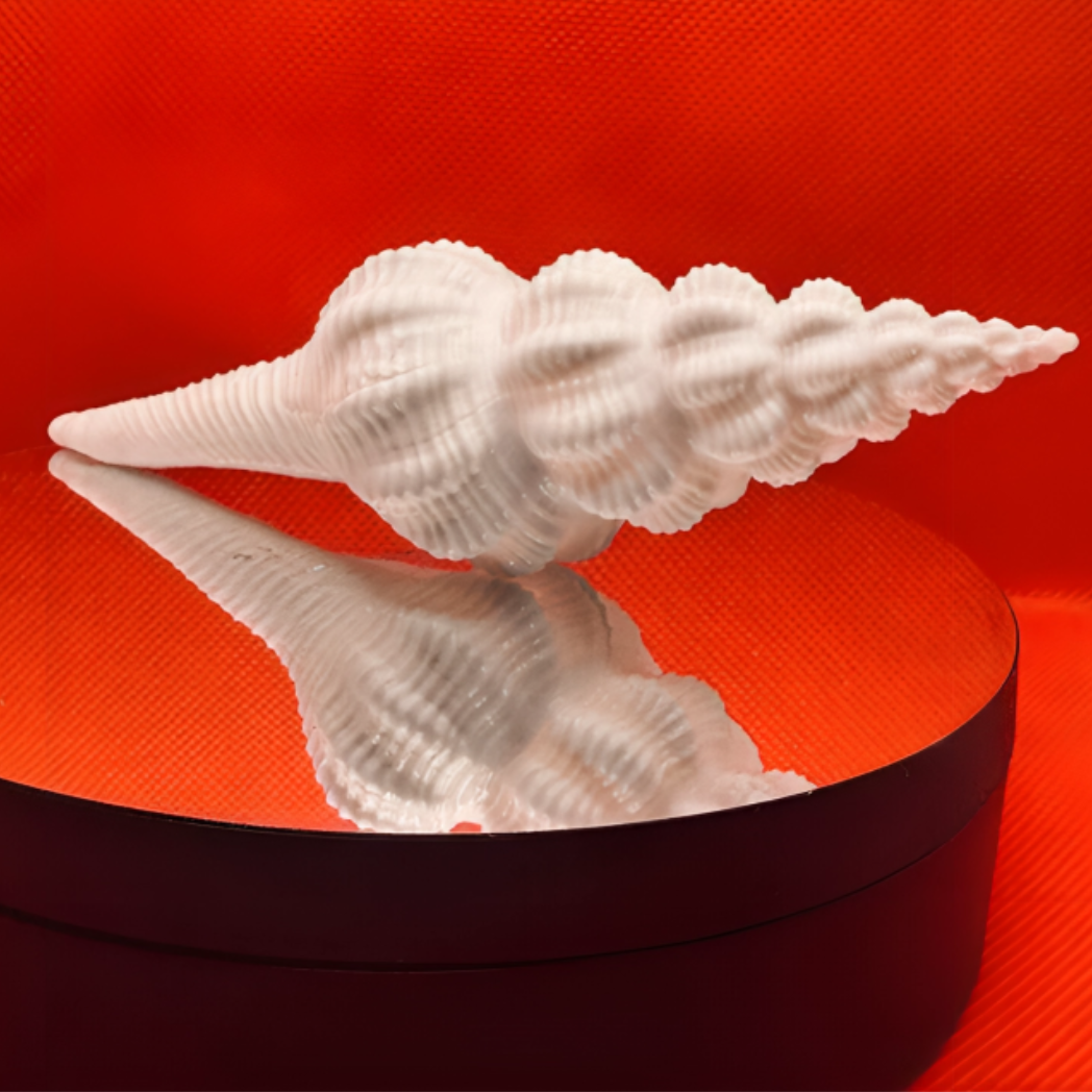 Vamavarti Gauri Shankar Shankh