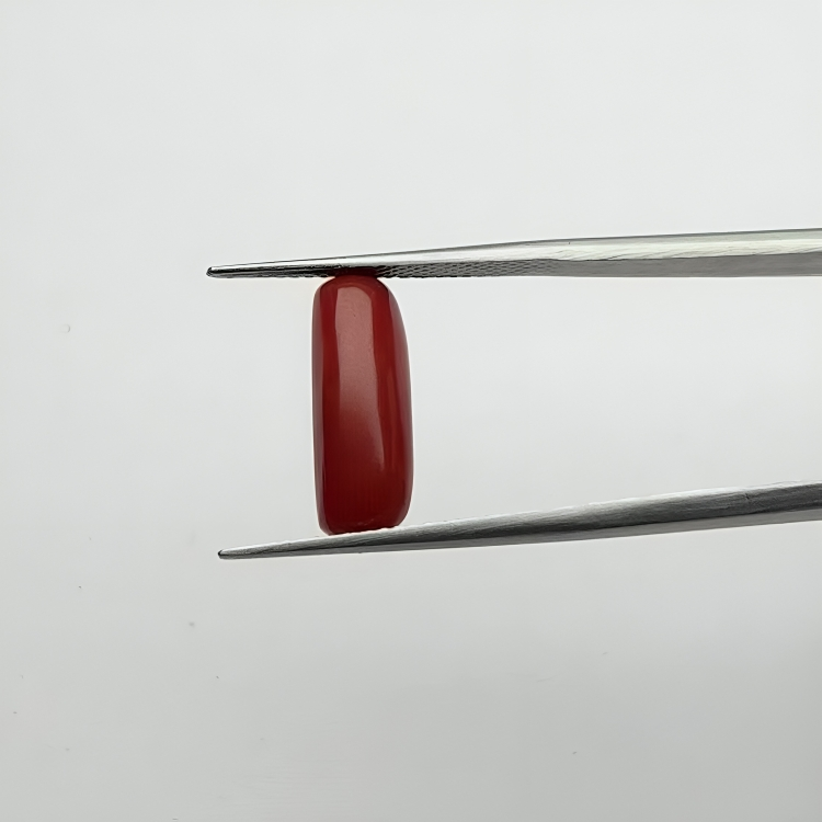 Capsule Red Coral (लाल मूंगा) - Premium (3-5)