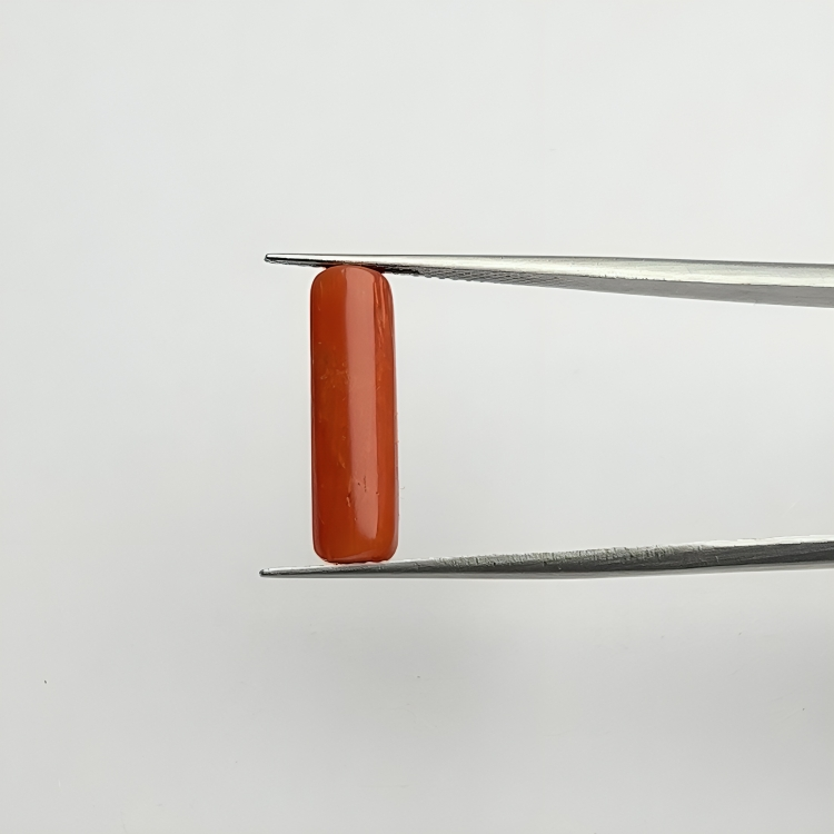 Capsule Red Coral (लाल मूंगा) - Economic (3-5)