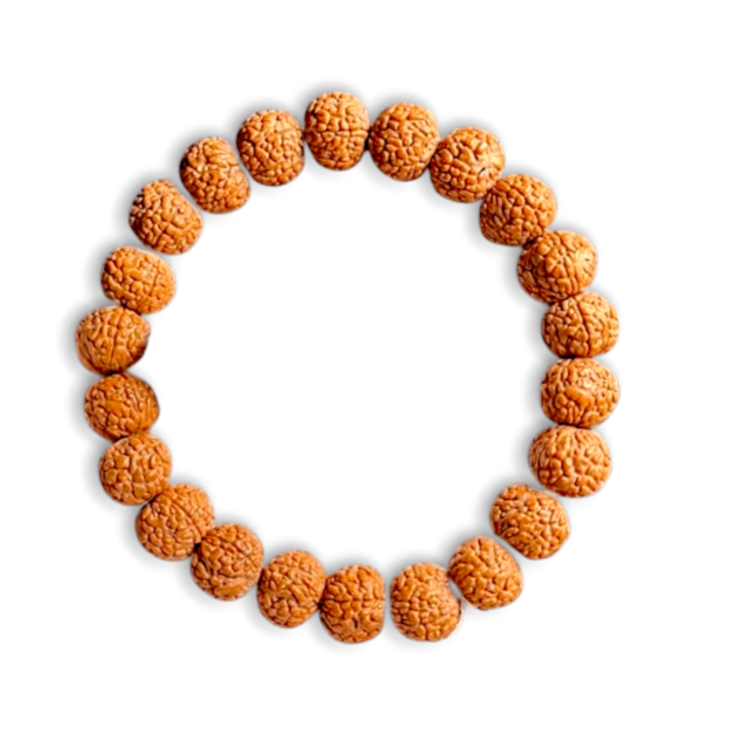 5 Mukhi Rudraksha Bracelet