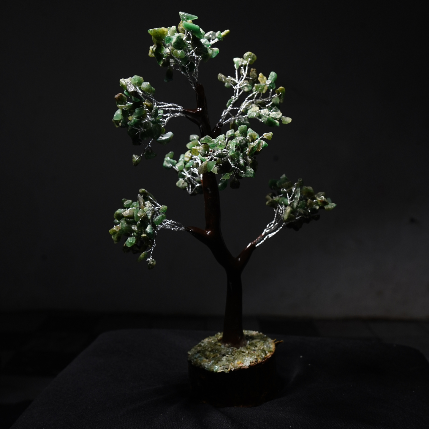 Green jade tree