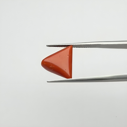 Triangular Red Coral (लाल मूंगा) - Premium