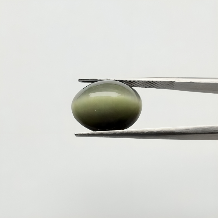 Cats eye (लहसुनिया) - Ultra Premium