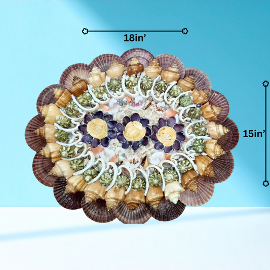 Vintage Circle Shaped Seashell Decorative Wall Art D1