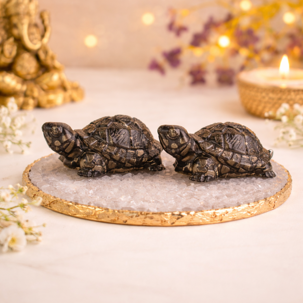 Vastu Pyrite Tortoise Pair
