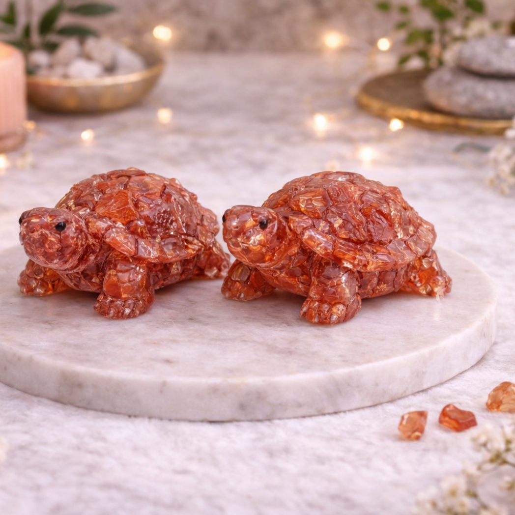 Vastu Carnelian Tortoise Pair
