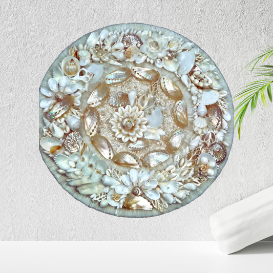 Vintage Circle Shaped Seashell Decorative Wall Art D4
