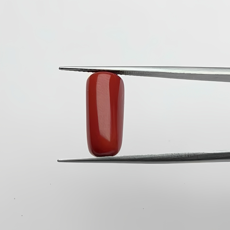 Capsule Red Coral (लाल मूंगा) - Premium (7-12)