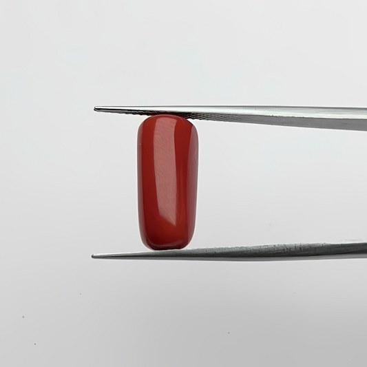 Capsule Red Coral (लाल मूंगा) - Premium (7-12)