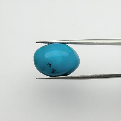 Irani Turquoise (फ़िरोज़ा) - Premium