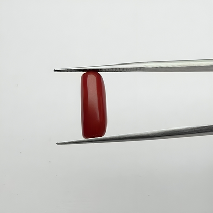 Capsule Red Coral (लाल मूंगा) - Premium (3-5)