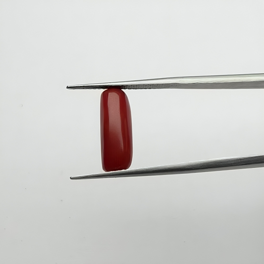 Capsule Red Coral (लाल मूंगा) - Premium (3-5)