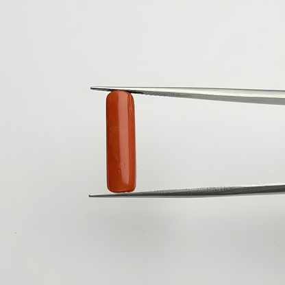 Capsule Red Coral (लाल मूंगा) - Economic (3-5)