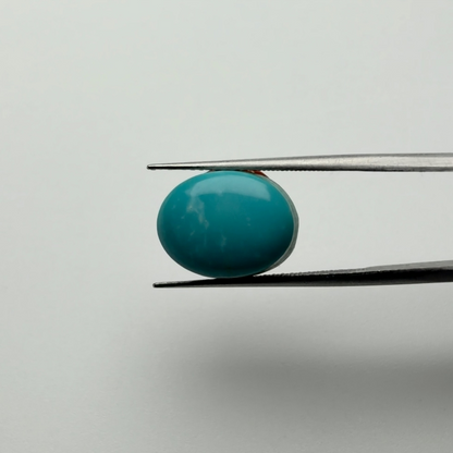 American Turquoise (फ़िरोज़ा) - Premium