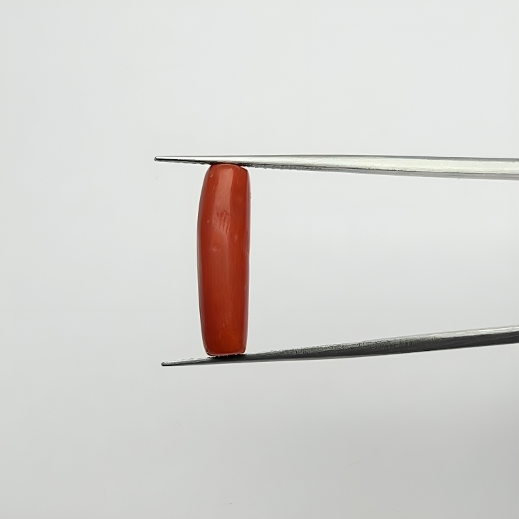 Capsule Red Coral (लाल मूंगा) - Economic (5-7)