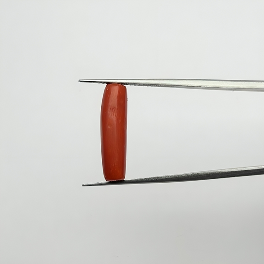 Capsule Red Coral (लाल मूंगा) - Economic (5-7)