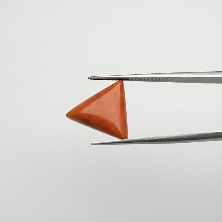 Triangular Red Coral (लाल मूंगा) - Average