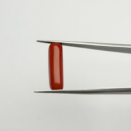 Capsule Red Coral (लाल मूंगा) - Average