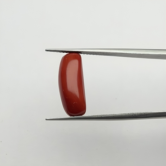 Capsule Red Coral (लाल मूंगा) - Premium (5-7)