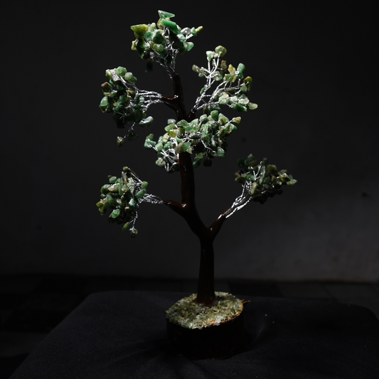 Green jade tree