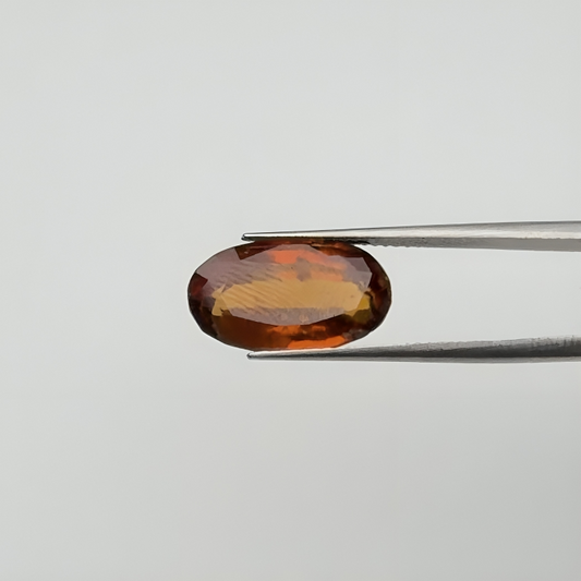 Ceylon Gomed (गोमेद) - Premium