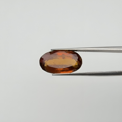 Ceylon Gomed (गोमेद) - Ultra Premium