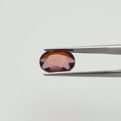 African Gomed (गोमेद) - Premium