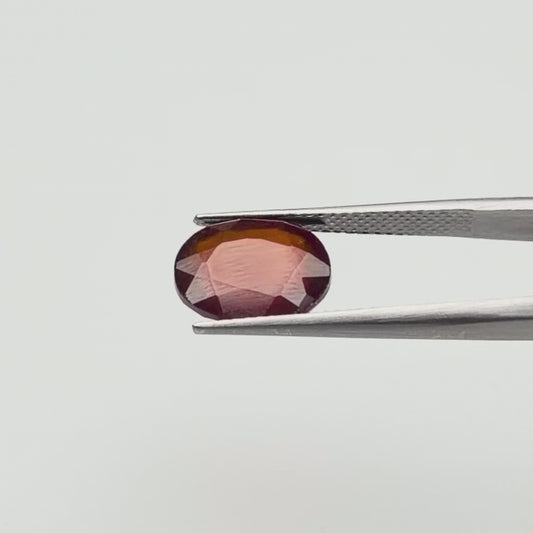 African Gomed (गोमेद) - Premium