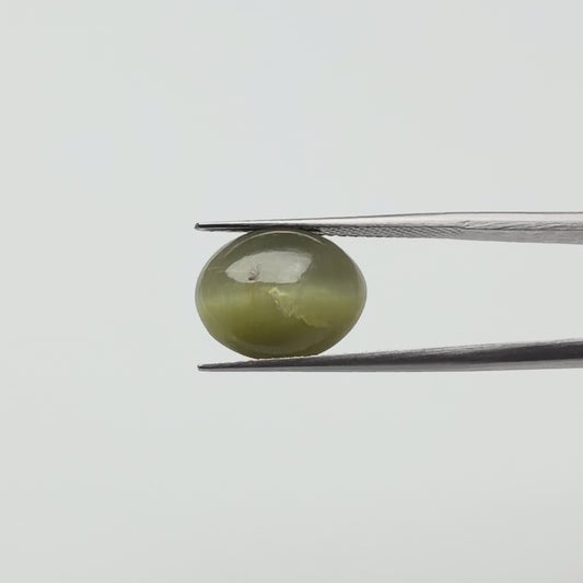 Cats eye (लहसुनिया) - Premium