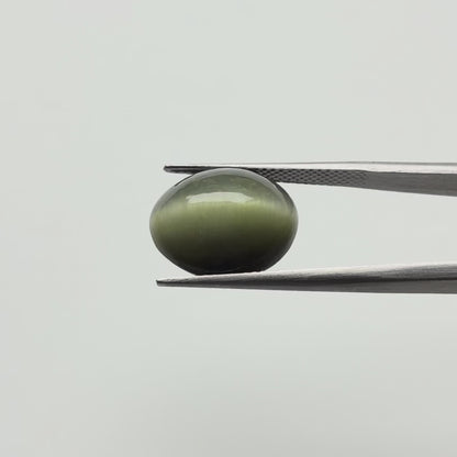 Cats eye (लहसुनिया) - Ultra Premium