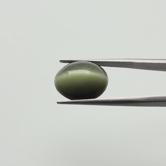 Cats eye (लहसुनिया) - Ultra Premium