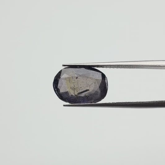 Iolite (नीली) - Premium