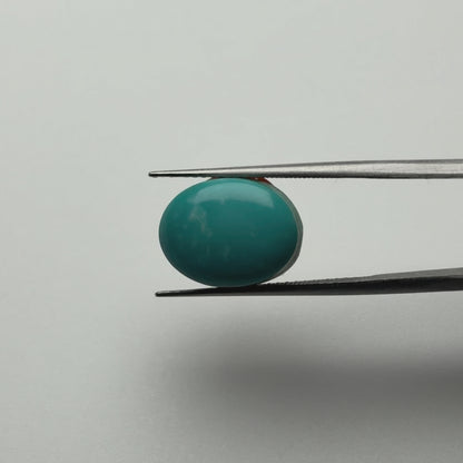 American Turquoise (फ़िरोज़ा) - Premium