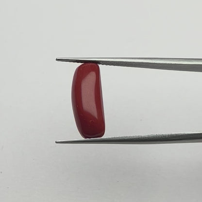 Capsule Red Coral (लाल मूंगा) - Premium (5-7)