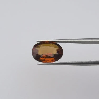 Ceylon Gomed (गोमेद) - Ultra Premium