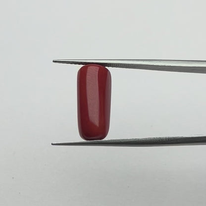 Capsule Red Coral (लाल मूंगा) - Premium (7-12)