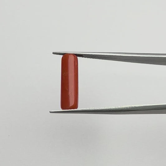 Capsule Red Coral (लाल मूंगा) - Economic (3-5)