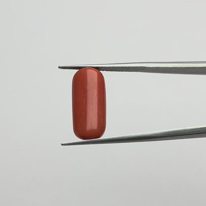 Capsule Red Coral (लाल मूंगा) - Economic (7-12)