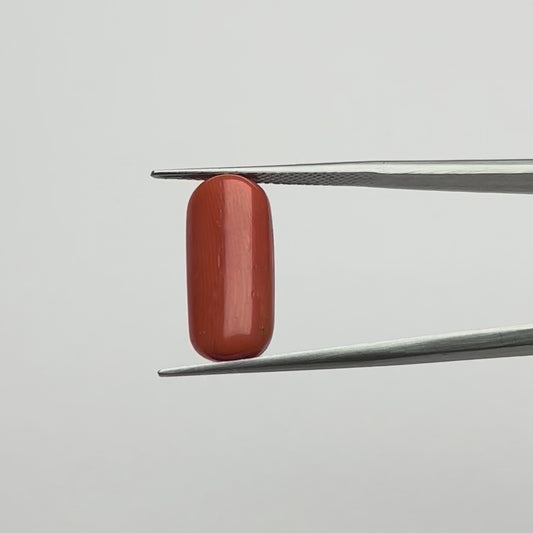 Capsule Red Coral (लाल मूंगा) - Economic (7-12)