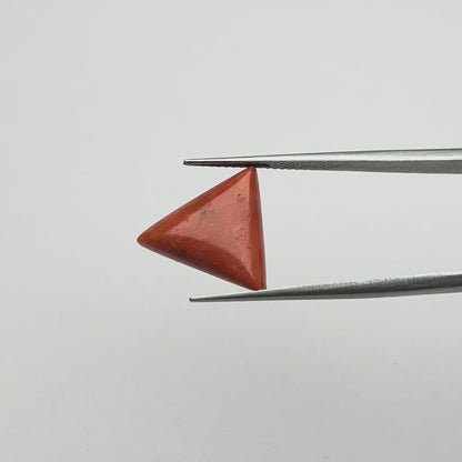 Triangular Red Coral (लाल मूंगा) - Average
