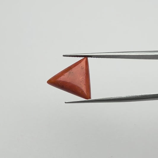 Triangular Red Coral (लाल मूंगा) - Average