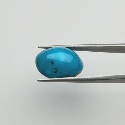 Irani Turquoise (फ़िरोज़ा) - Premium