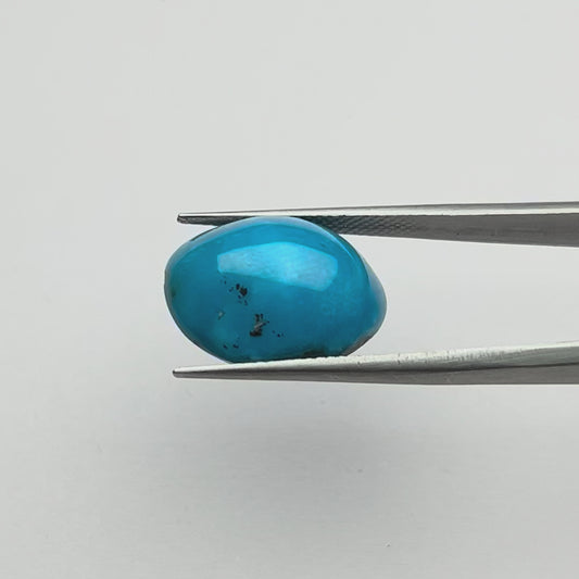 Irani Turquoise (फ़िरोज़ा) - Premium