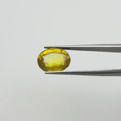 Yellow Sapphire (पुखराज) Bangkok - Premium